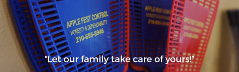 Helotes Pest Control Company