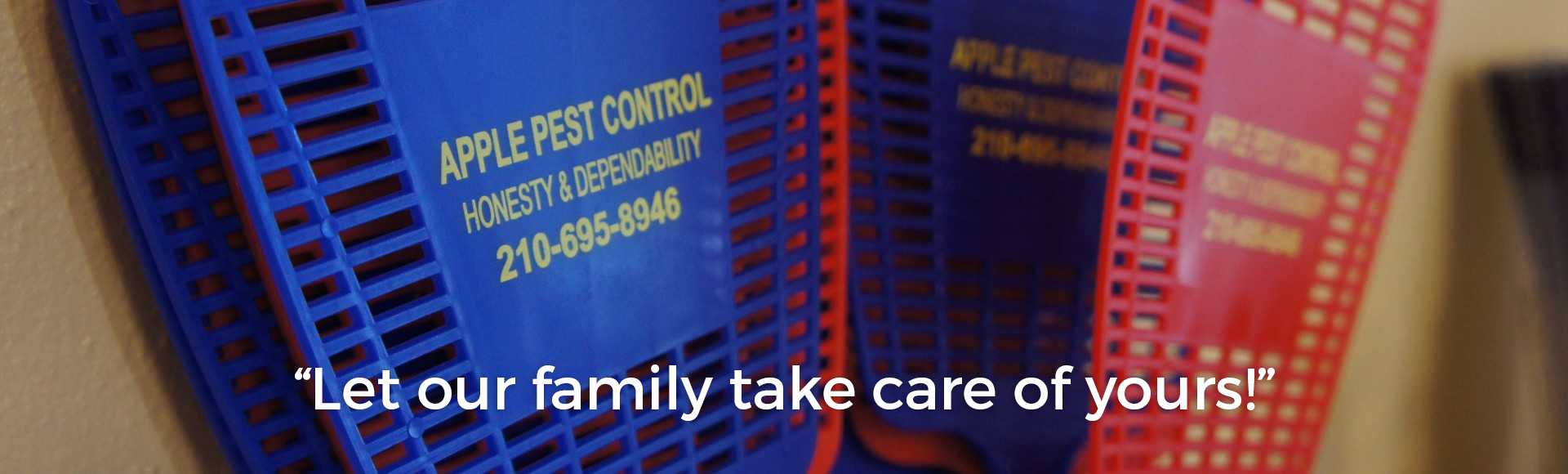 Pest Control San Antonio Bed Bugs, Wasp & Rodent Control