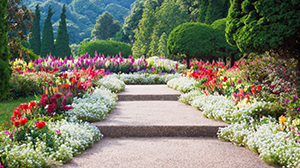 Professional lawn care lawn fertilization company san antonio tx