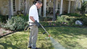 lawn care to prevent pests in AC systems