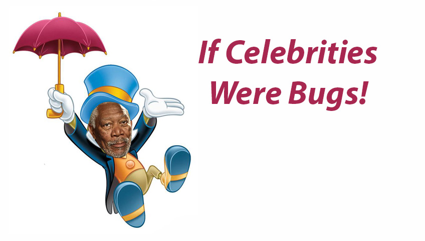 Celebrity and their bug counterparts