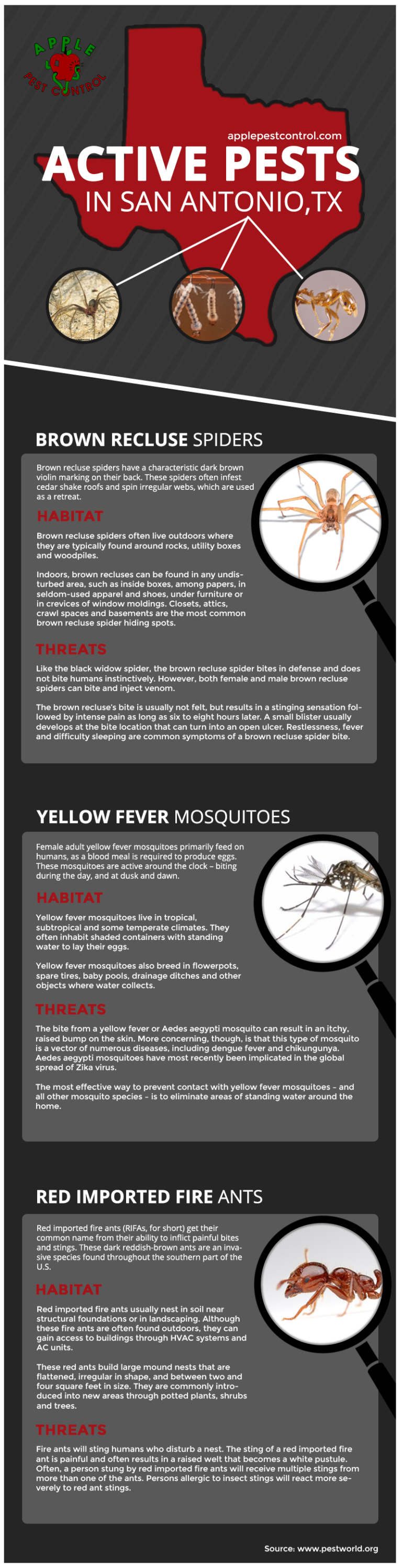 Active Pests in San Antonio,TX Apple Pest Control