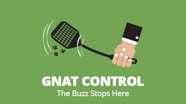 Gnat Yard Treatment gnat control san antonio