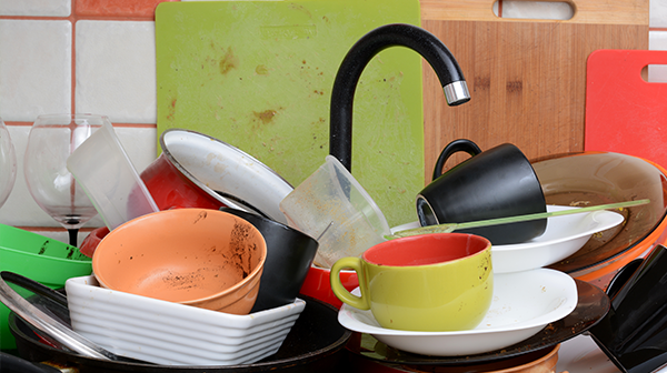 Is Your Kitchen Attracting Gnats? how to get rid of gnats