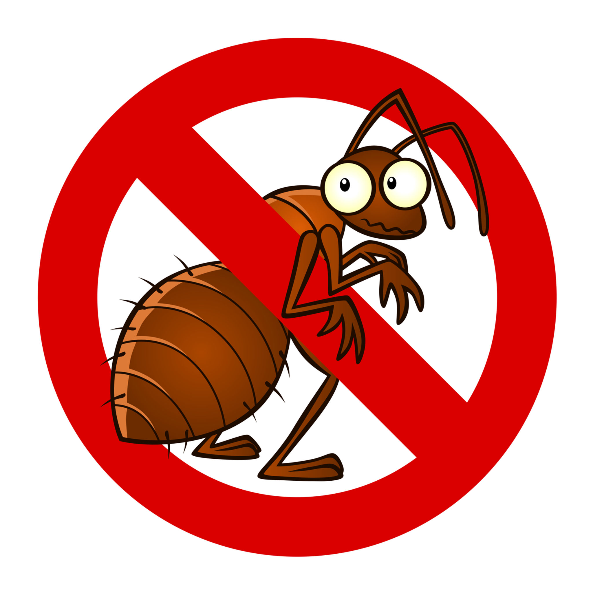 Licensed Bed Bug Extermination Services in Columbus Ohio