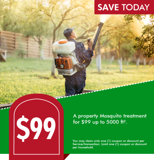 Pest Control Coupons in San Antonio, TX Apple Pest Control