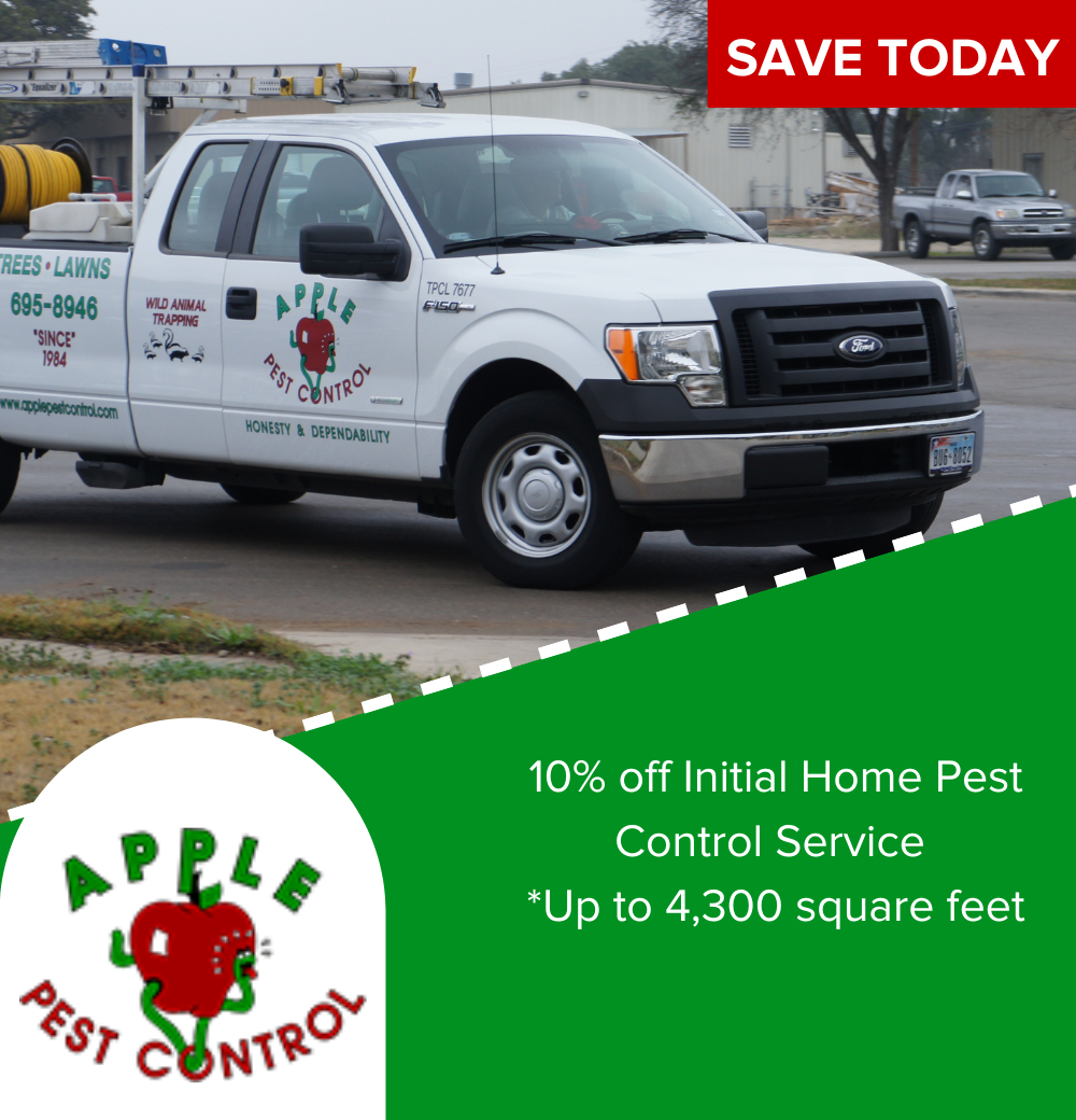 Pest Control Coupons in San Antonio, TX Apple Pest Control